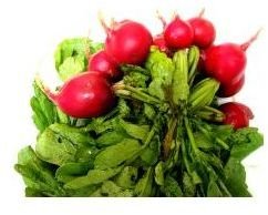 radishes radish facts nutrition