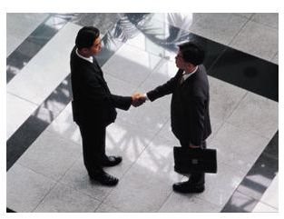 bizhandshake2opt