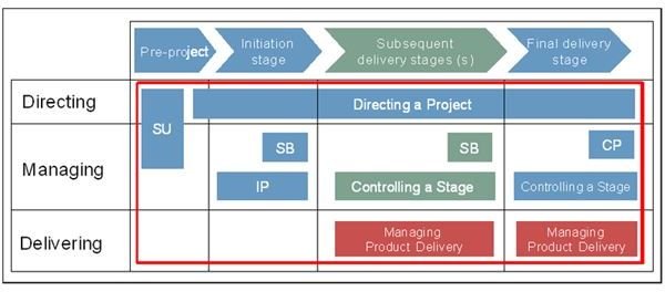 Should You Follow PRINCE2