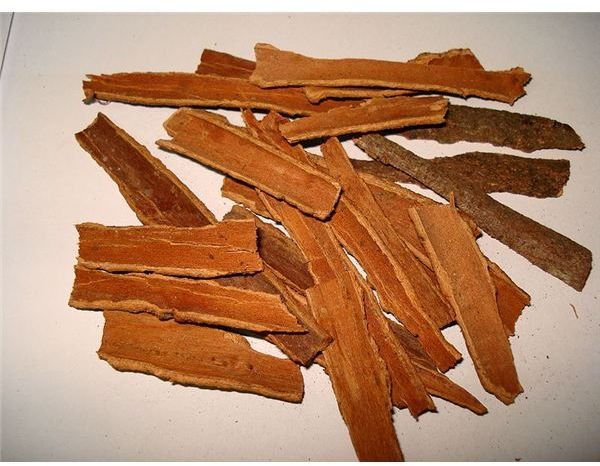 The Effectiveness of Cinnamon as a Treatment for Diabetes