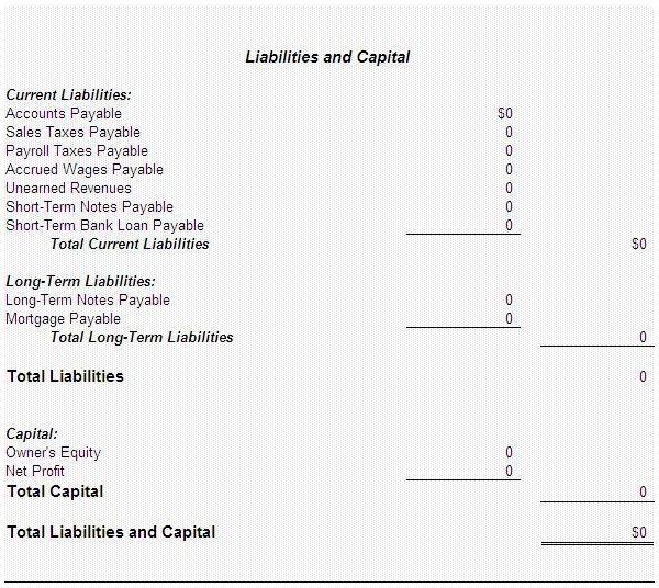 Screenshot Balance Sheet Liabilities and Capital