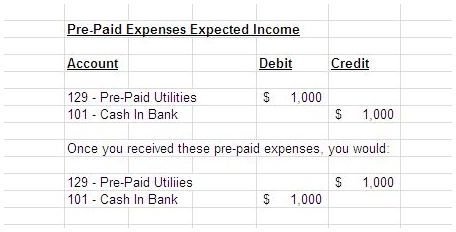 Screenshot Pre Paid Expenses