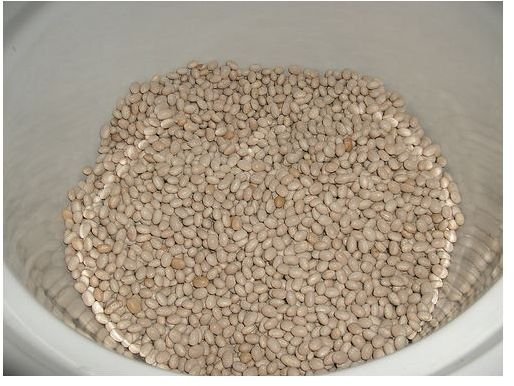 dry navy beans