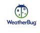 WeatherBug Ico