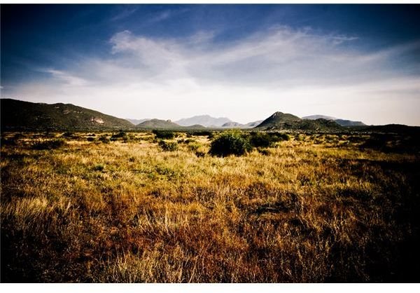 Rocky Landscape