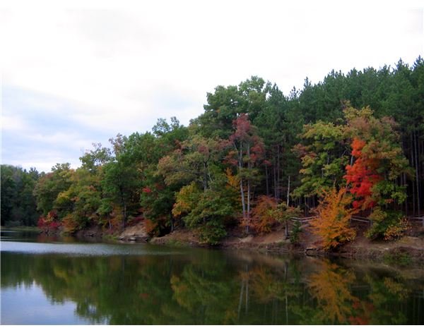 North American Forest and Lake