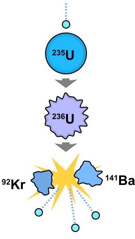 309px-Nuclear fission.svg