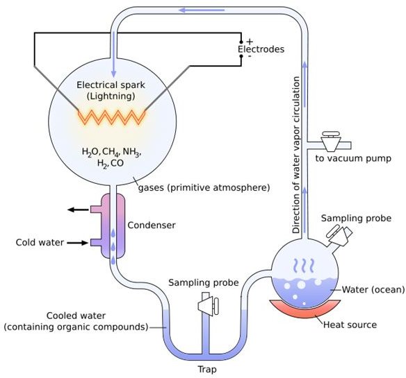 The classic Miller-Urey experimental setup.