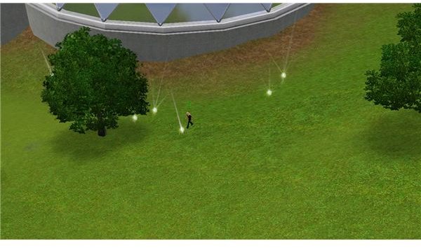 Searching for Life Fruit in The Sims 3