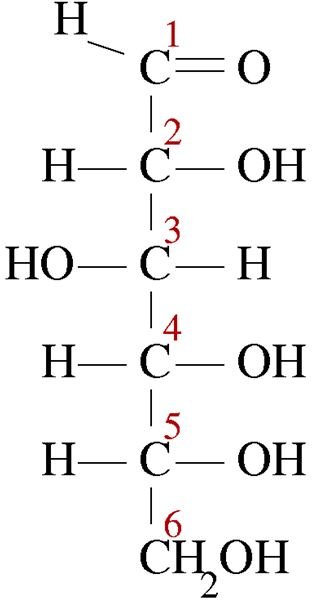 Studying Sugar Compounds, Molecular Activity and Breakdown