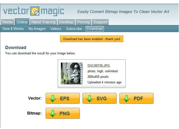 super vectorizer vs vector magic