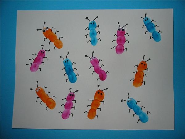 Bug Preschool Lesson Plan Based on "Bugs Galore" by Peter ...