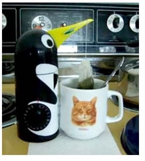 Tea-Boy Penguin Tea Timer