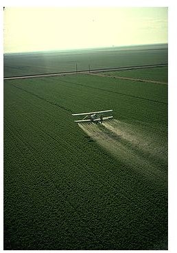 What Makes Pesticides a Pollutant?