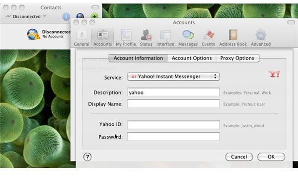Adding an account to Proteus chat client on Mac OS X
