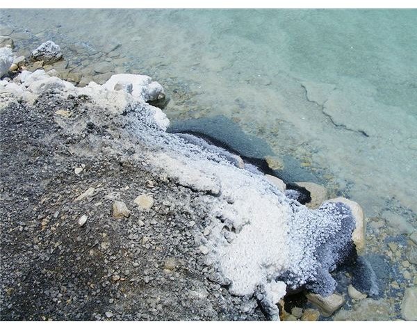 Salt covered stones at Dead Sea