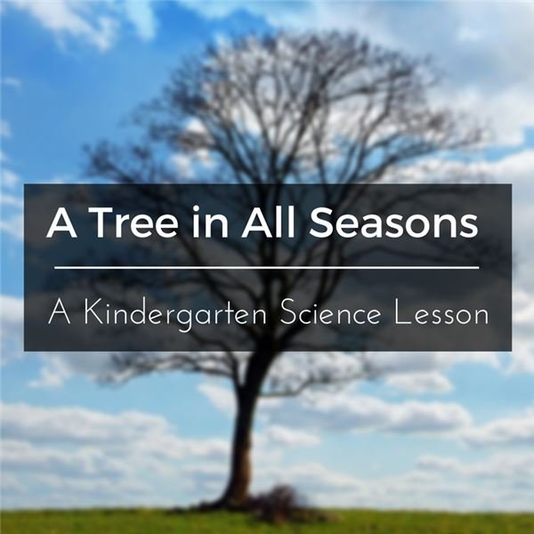 Kindergarten Science Lesson Plan: Trees and the Four Seasons