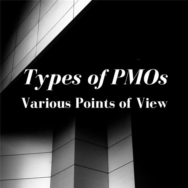 PMO Types: Comparing Gartner and PMI Points of View