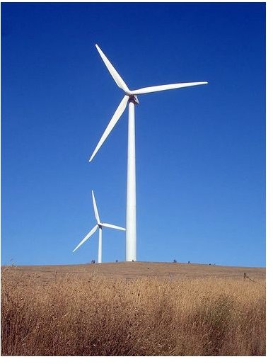 How Do Wind Turbines Help the Environment?