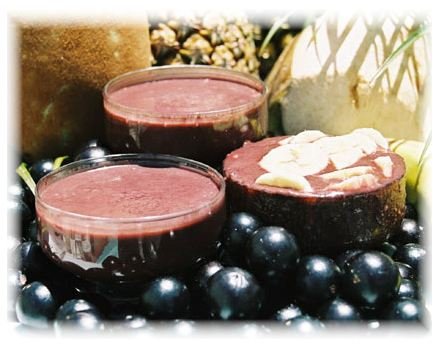 Acai Berry is a Nutrient Dense Food: Improved Health and Prevention of Chronic Disease with Antioxidant Rich Foods