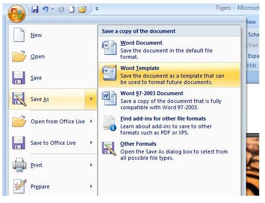 How to Transfer Macros in Microsoft Word 2007