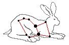 Interesting facts about constellations - Lepus constellation