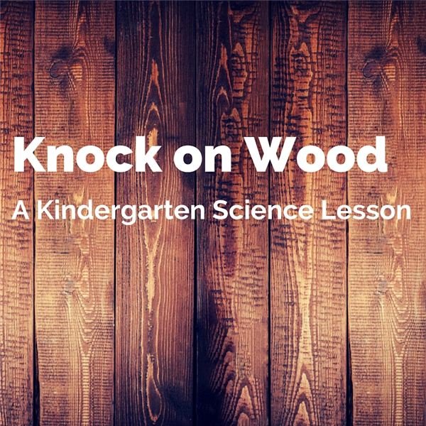 Teaching Kindergarten Students about Wood: STEM Lesson Plan Ideas