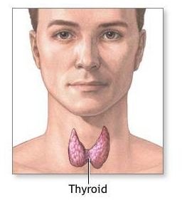 Learn about Natural Remedies for Hypothyroidism