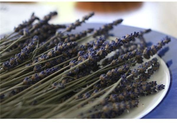 Lavender Essential Oil for Relaxation & Deeper, Natural Sleep