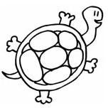 Turtle Drawing