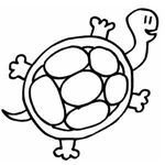 Ten Turtle Facts for Preschoolers: Theme & Teaching Ideas