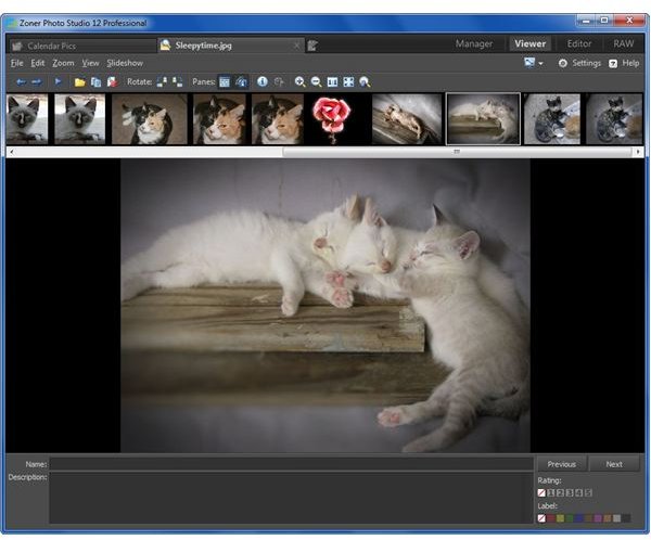 best image viewer for windows