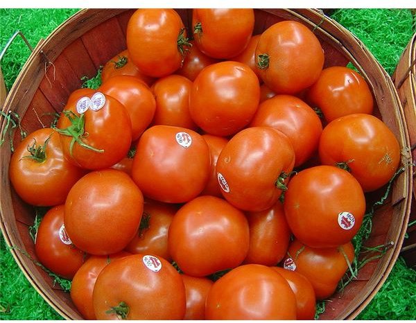 Tomatoes contain lycopene which is good for a healthy prostrate