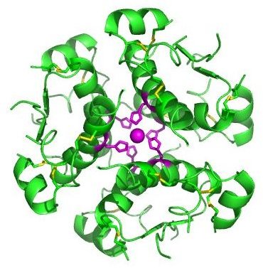 How Environmental Biotechnology Applications Help Preserve the Environment