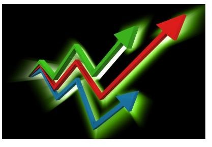 Free Sample: Profit and Loss Statement