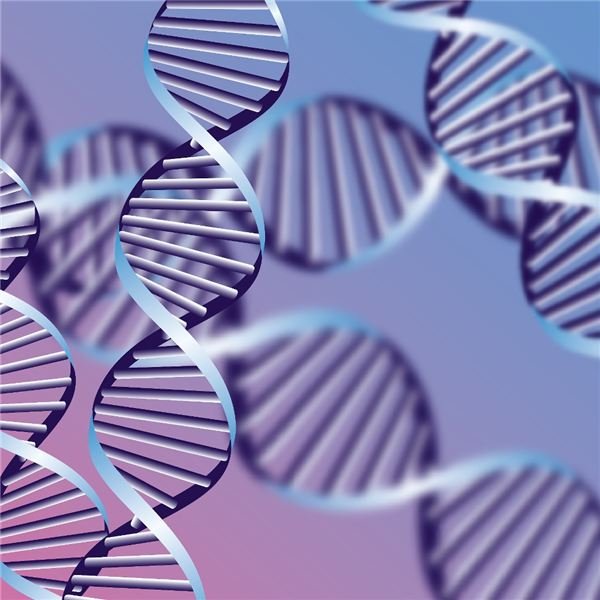 A Brief Intro to the Causes of Gene & Chromosome Mutations, Both Spontaneous and Induced