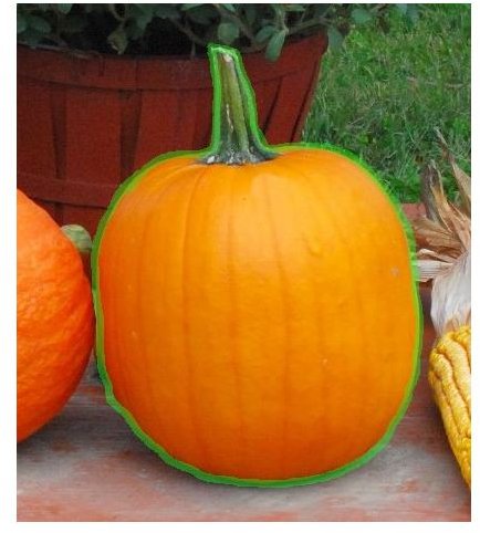 Pumpkin with Edges Marked