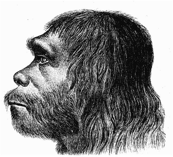 Neanderthaler Drawing