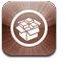 Cydia icon