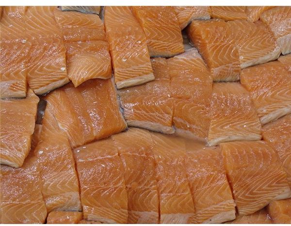 Salmon