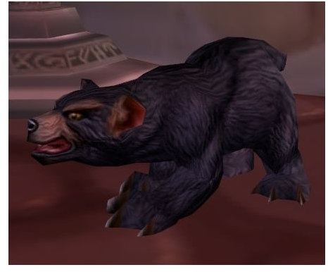 The%20Dun%20Morogh%20Cub%20is%20the%20Ironforge%20non-combat%20pet