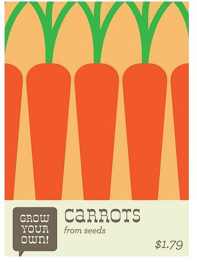 Carrot Seeds