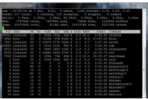 Basic Linux Commands: The Top Command
