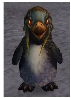 Pengu is a non-combat pet reward from being Exalted with the Kalu&rsquo;ak