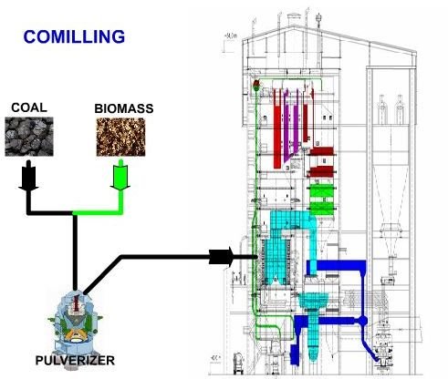 Cofiring Biomass in a Coal-fired Boiler