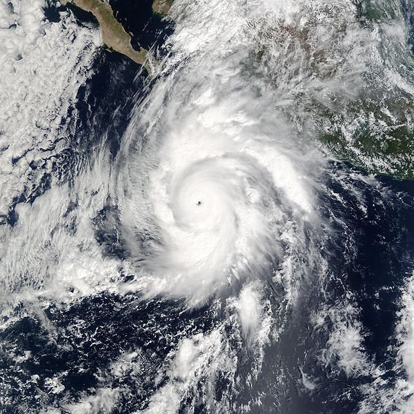 Formation of a Tropical Cyclone
