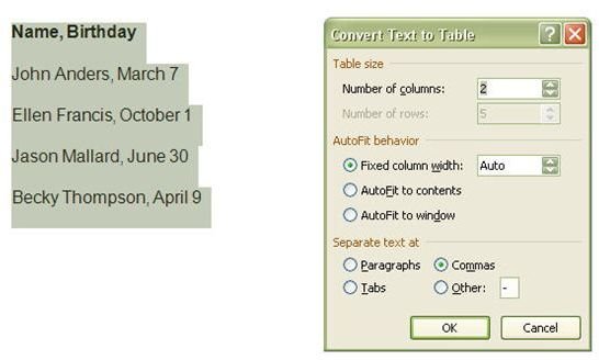 Table Conversion Options