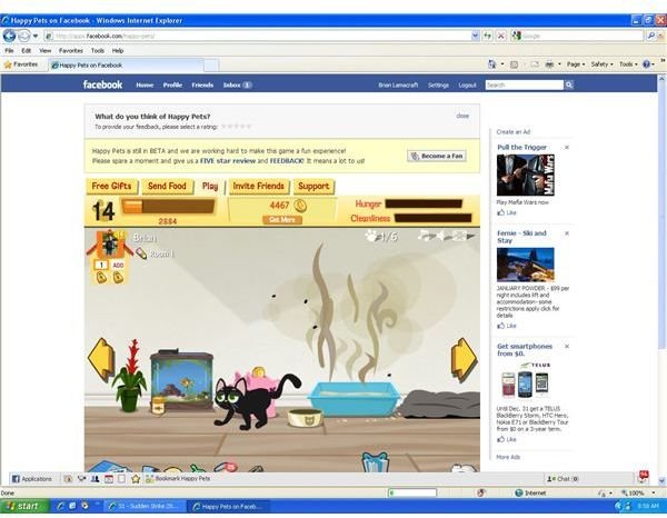 Facebook Game Review: Happy Pets Virtual Dogs and Cats on Facebook.  Feed, pet and play with them.