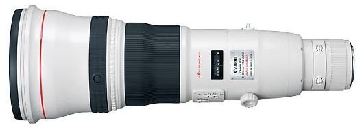 How to Choose the Best Super Telephoto Camera Lens