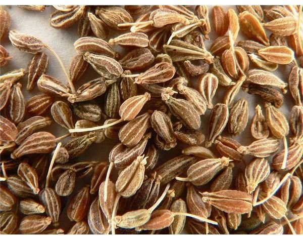 Benefits of Drinking Anise Seed Tea